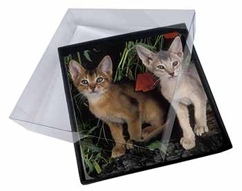 4x Abyssinian Cats by Poppies Picture Table Coasters Set in Gift Box