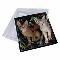 4x Abyssinian Cats by Poppies Picture Table Coasters Set in Gift Box