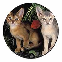 Abyssinian Cats by Poppies Fridge Magnet Printed Full Colour