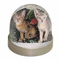 Abyssinian Cats by Poppies Snow Globe Photo Waterball