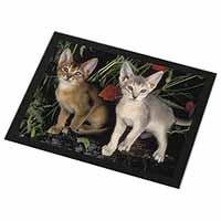 Abyssinian Cats by Poppies Black Rim High Quality Glass Placemat