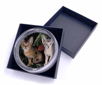 Abyssinian Cats by Poppies Glass Paperweight in Gift Box