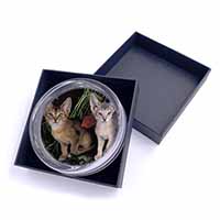 Abyssinian Cats by Poppies Glass Paperweight in Gift Box