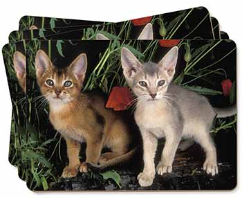Abyssinian Cats by Poppies Picture Placemats in Gift Box