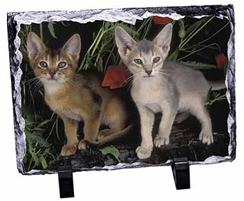 Abyssinian Cats by Poppies, Stunning Photo Slate