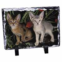 Abyssinian Cats by Poppies, Stunning Animal Photo Slate