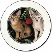 Abyssinian Cats by Poppies Car or Van Permit Holder/Tax Disc Holder