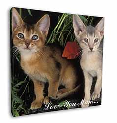 Abyssinian Cats 