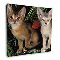 Abyssinian Cats 