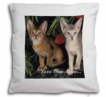 Abyssinian Cats 