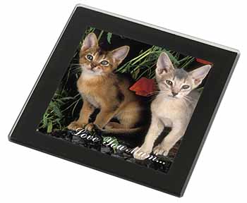 Abyssinian Cats 