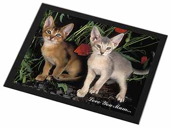 Abyssinian Cats 