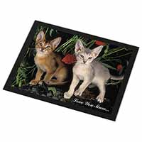 Abyssinian Cats 