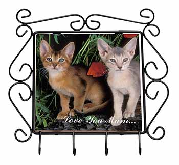 Abyssinian Cats 