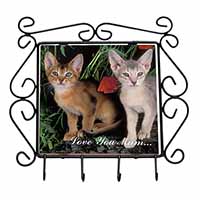 Abyssinian Cats 