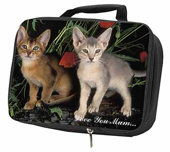 Abyssinian Cats 