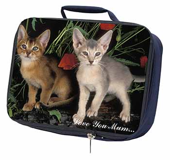 Abyssinian Cats 