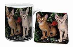 Abyssinian Cats 