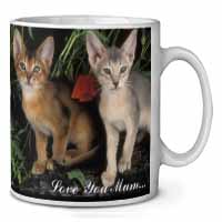 Abyssinian Cats 