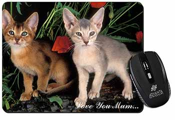 Abyssinian Cats 