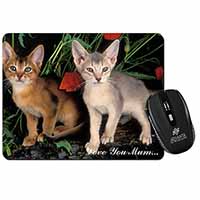 Abyssinian Cats 