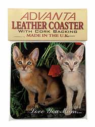 Abyssinian Cats 