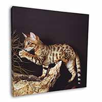 A Gorgeous Bengal Kitten Square Canvas 12"x12" Wall Art Picture Print