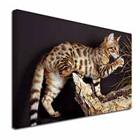 A Gorgeous Bengal Kitten Canvas X-Large 30"x20" Wall Art Print