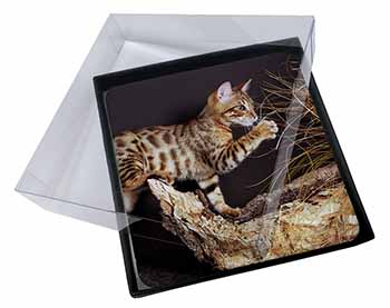 4x A Gorgeous Bengal Kitten Picture Table Coasters Set in Gift Box