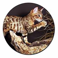A Gorgeous Bengal Kitten Fridge Magnet Printed Full Colour