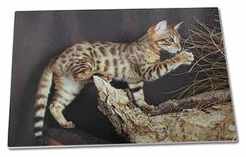 Large Glass Cutting Chopping Board A Gorgeous Bengal Kitten