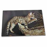 Large Glass Cutting Chopping Board A Gorgeous Bengal Kitten