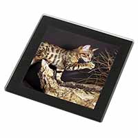 A Gorgeous Bengal Kitten Black Rim High Quality Glass Coaster