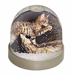 A Gorgeous Bengal Kitten Snow Globe Photo Waterball
