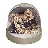A Gorgeous Bengal Kitten Snow Globe Photo Waterball