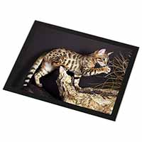 A Gorgeous Bengal Kitten Black Rim High Quality Glass Placemat