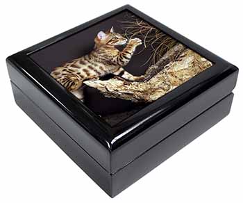 A Gorgeous Bengal Kitten Keepsake/Jewellery Box