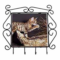 A Gorgeous Bengal Kitten Wrought Iron Key Holder Hooks