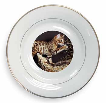 A Gorgeous Bengal Kitten Gold Rim Plate Printed Full Colour in Gift Box