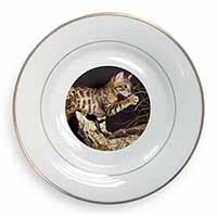 A Gorgeous Bengal Kitten Gold Rim Plate Printed Full Colour in Gift Box