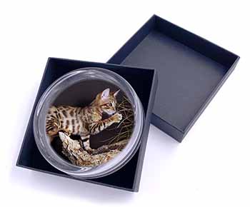 A Gorgeous Bengal Kitten Glass Paperweight in Gift Box