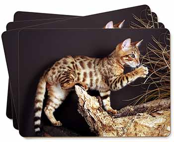A Gorgeous Bengal Kitten Picture Placemats in Gift Box