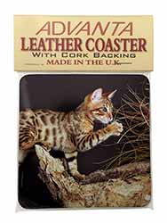 A Gorgeous Bengal Kitten Single Leather Photo Coaster