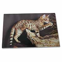 Large Glass Cutting Chopping Board Bengal Kitten 