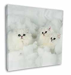 White Chinchilla Kittens Square Canvas 12"x12" Wall Art Picture Print