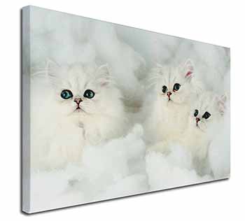 White Chinchilla Kittens Canvas X-Large 30"x20" Wall Art Print