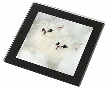 White Chinchilla Kittens Black Rim High Quality Glass Coaster
