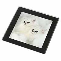 White Chinchilla Kittens Black Rim High Quality Glass Coaster