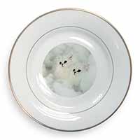 White Chinchilla Kittens Gold Rim Plate Printed Full Colour in Gift Box