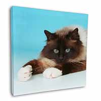 Beautiful Birman Cat Square Canvas 12"x12" Wall Art Picture Print